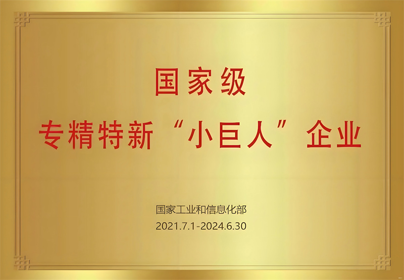 小巨人企業(yè)